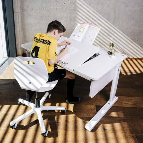 moll Champion Comfort Center Up