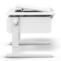 Champion Comfort Center Up