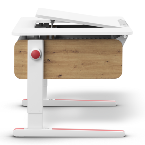 moll Champion Comfort Center Up