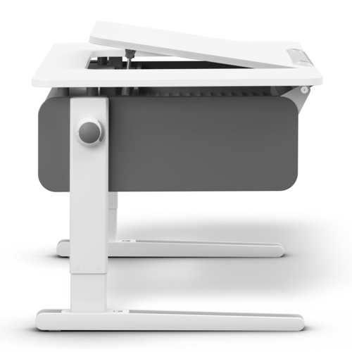 moll Champion Comfort Center Up