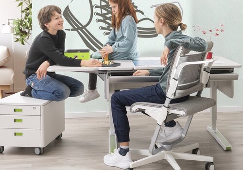 Moll Prime Schreibtisch Champion