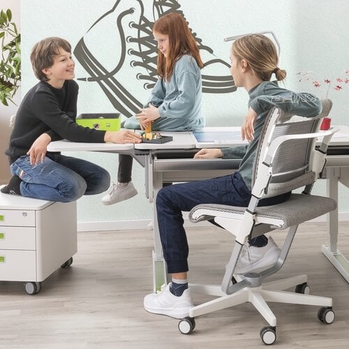 Moll Prime Schreibtisch Champion