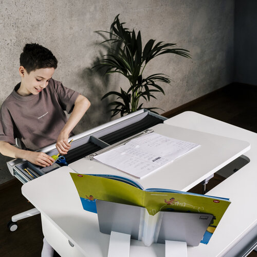 moll e-Champion Center Up moll e-Champion Center Up