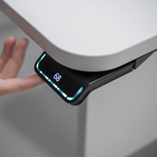 moll e-Champion Center Up moll e-Champion Center Up