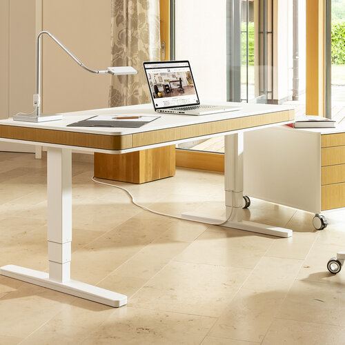 moll unique - in allen Ausführungen