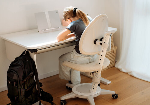 Moll Maximo Schreibtischstuhl