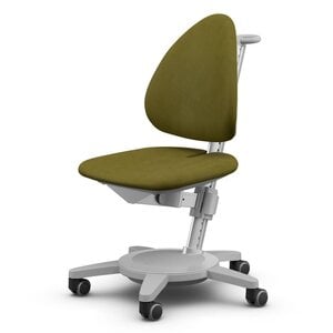 moll Maximo Drehstuhl grau - Moss