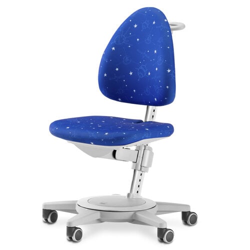 moll Maximo Drehstuhl grau - Galaxy moll Maximo Drehstuhl grau - Galaxy