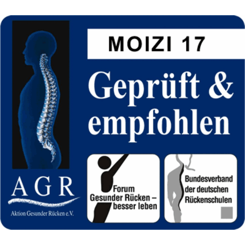 Moizi Container auf Rollen Moizi 10 Moizi Container auf Rollen Moizi 10