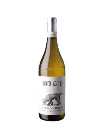 Roero Arneis DOCG  2025 - Bricco Lagotto