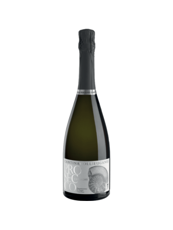 Prosecco DOC Colli Euganei