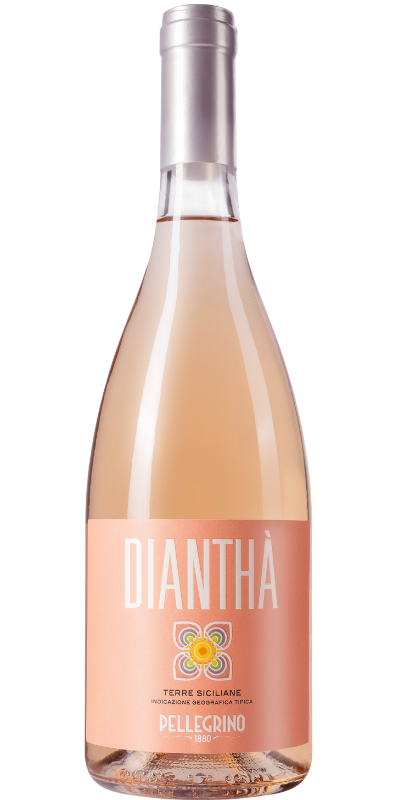 Dianthà - Pellegrino