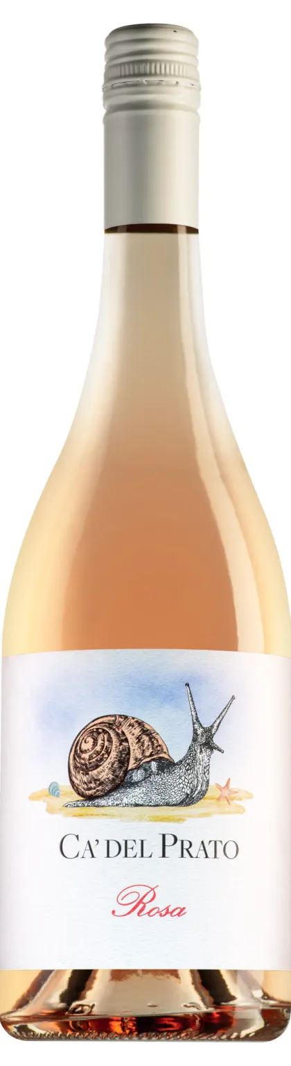 Il Cason del Prato - Rosa 2025