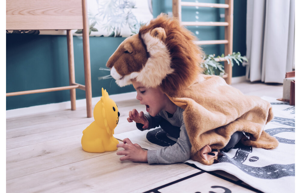 Lion Nightlight | 25 cm