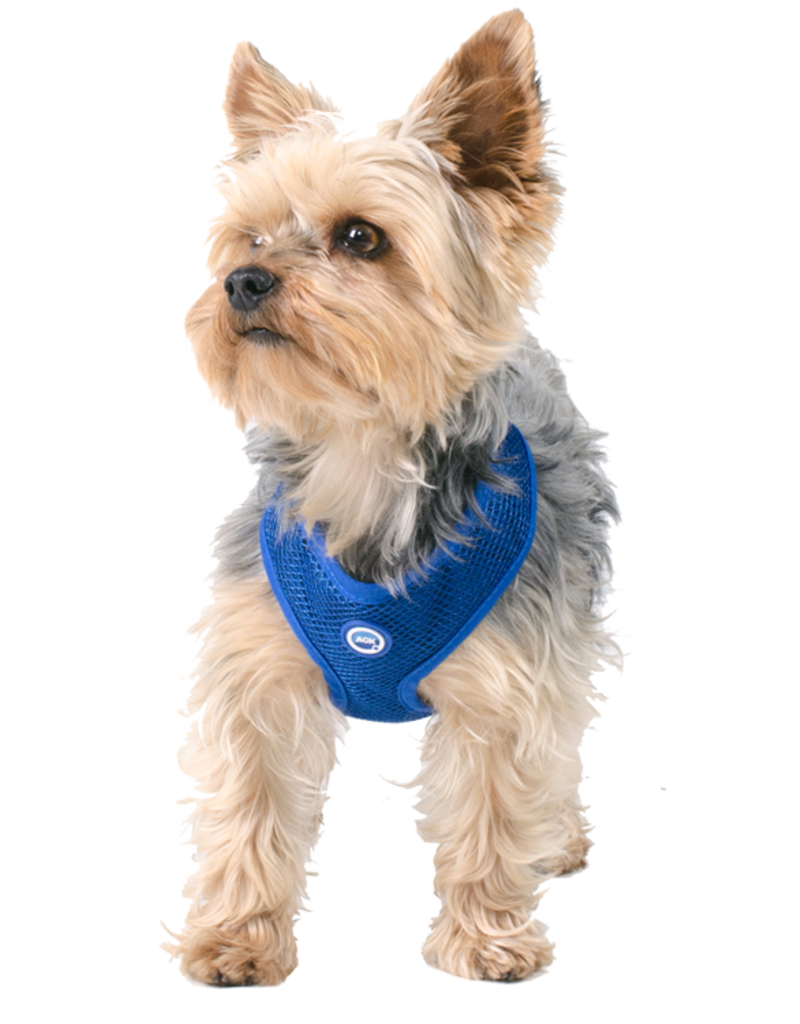 Aqua Coolkeeper Pet Cooling harness Round Loop Pacific Blue
