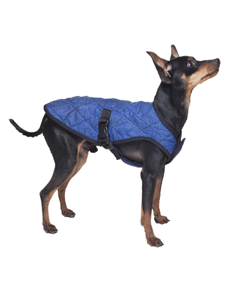 Aqua Coolkeeper Dog Cooling vest Pacific Blue