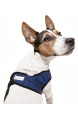 Aqua Coolkeeper Pet Cooling harness Pacific Blue