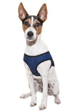 Aqua Coolkeeper Pet Cooling harness Pacific Blue