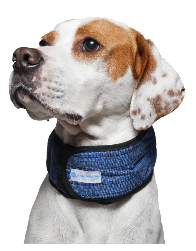 Aqua Coolkeeper Cooling Collar Pacific Blue