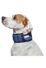 Aqua Coolkeeper Cooling Collar Pacific Blue