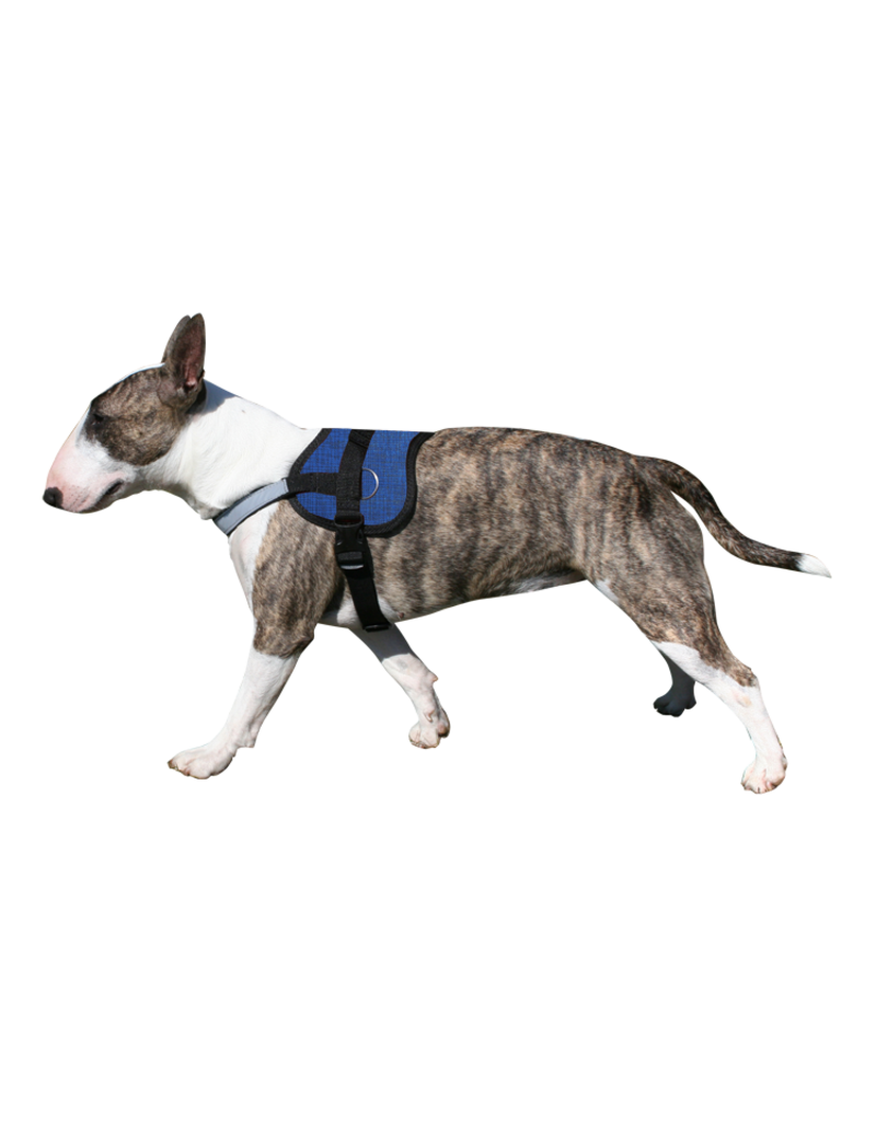 Aqua Coolkeeper Pet Cooling Survival Harness Pacific Blue