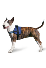 Aqua Coolkeeper Pet Cooling Survival Harness Pacific Blue