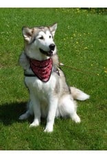 Aqua Coolkeeper Cooling pet bandana Red Western