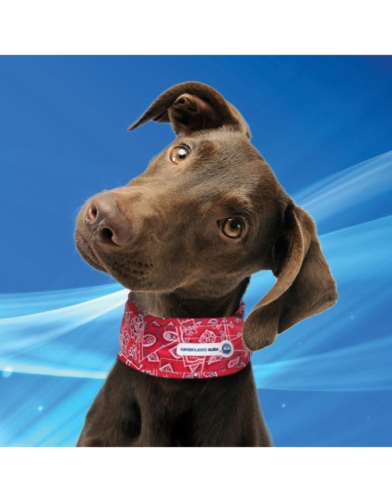 Aqua Coolkeeper Cooling Collar Red Western