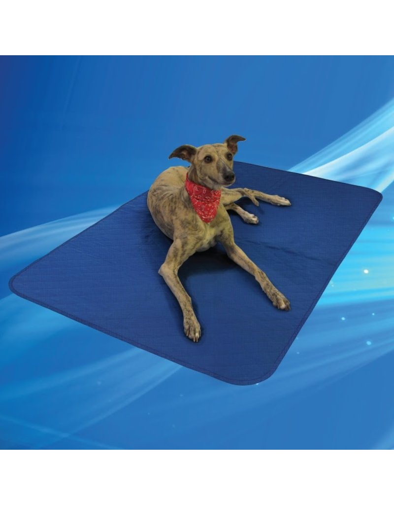 Aqua Coolkeeper Dog Cooling Blanket Pacific Blue