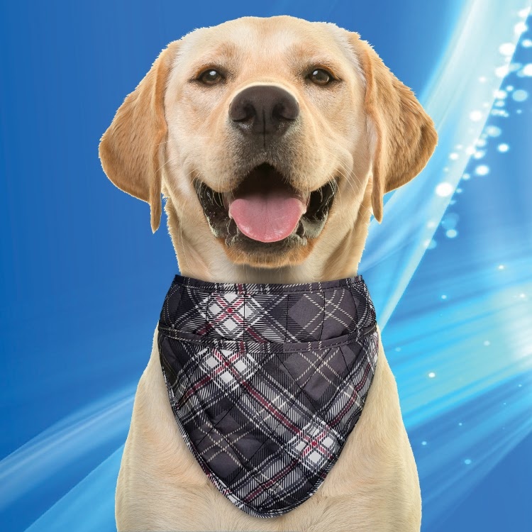 Dog bandana cheap collar cover
