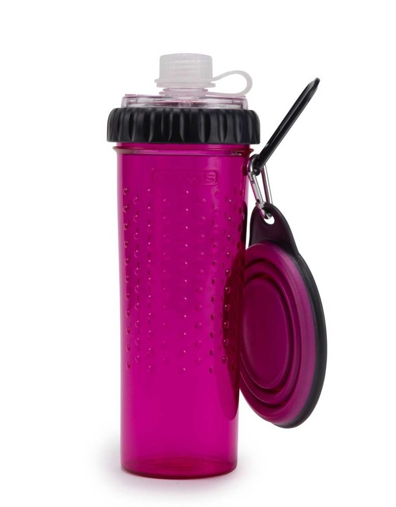 Dexas Drinking Bottle Duo Fuchsia