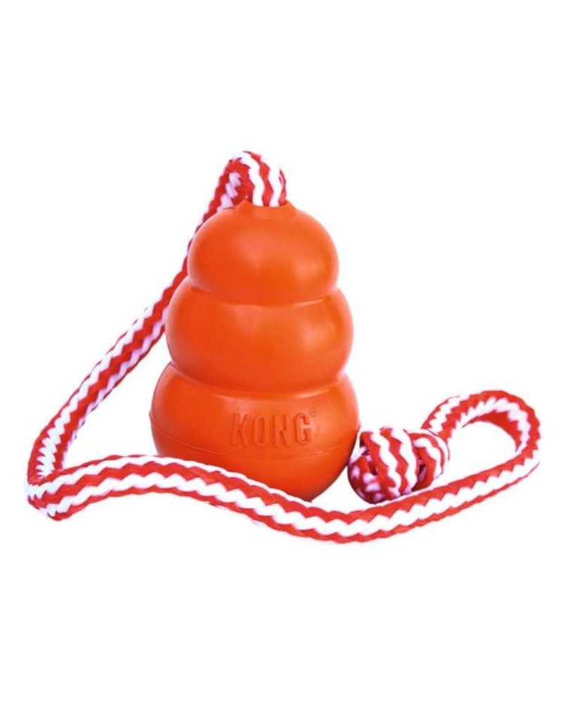 Kong Dog Toy Aqua