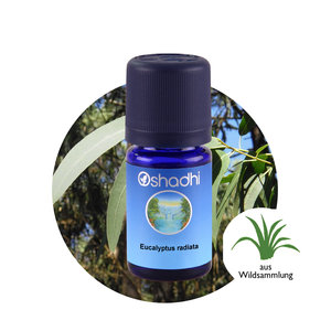 OSHADHI AROMATHERAPY Eucalyptus Radiata E.O.