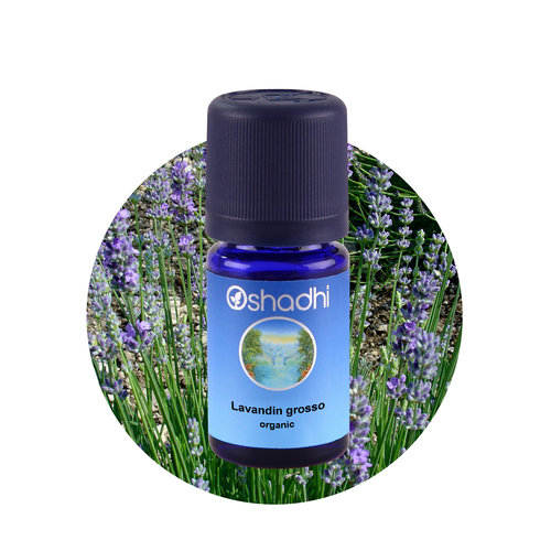 OSHADHI AROMATHERAPY Lavandin Grosso Org.E.O.