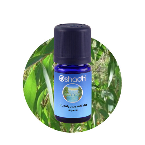 OSHADHI AROMATHERAPY Eucalyptus Radiata Organic E.O.