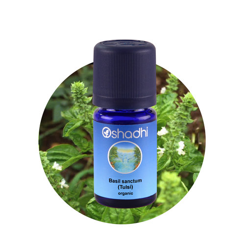 OSHADHI AROMATHERAPY Heilige Basilicum, Tulsi  E.O.