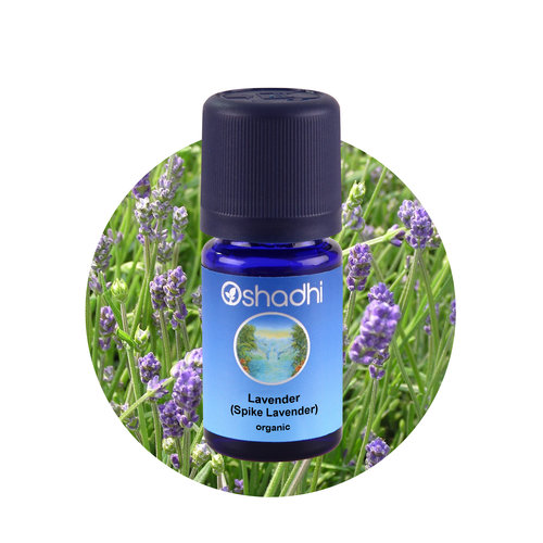 OSHADHI AROMATHERAPY Lavendel Spijk Bio E.O.