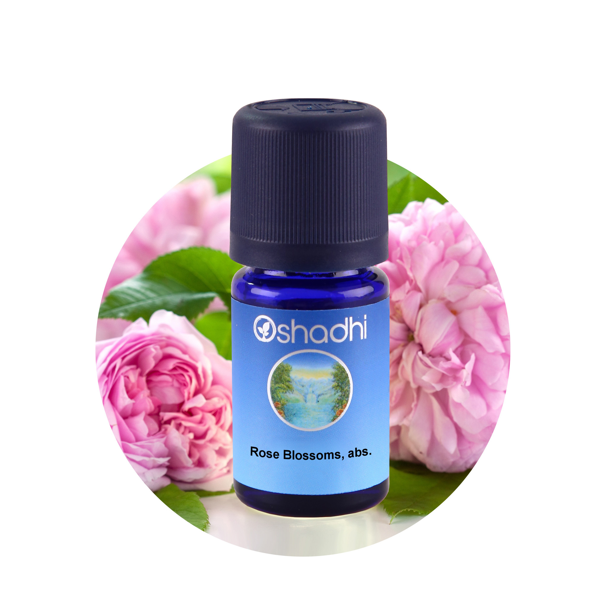 2540-1 Oshadhi Essentiele Olie Roos Abs. 1 ml - Chicamica Holistic Health &  Beauty