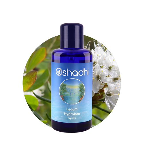 OSHADHI AROMATHERAPY Ledum - Moerasrozemarijn Hydrolaat