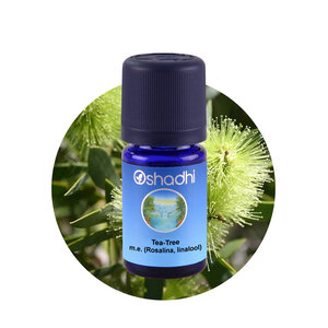 OSHADHI AROMATHERAPY Tea Tree Rosalina E.O.