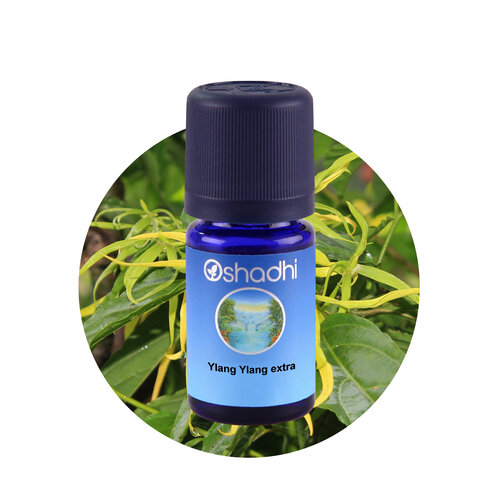 OSHADHI AROMATHERAPY Ylang Ylang Extra E.O.