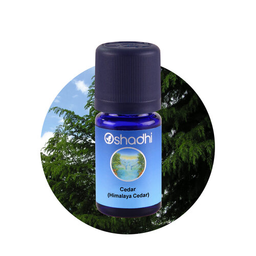 OSHADHI AROMATHERAPY Himalaya Ceder E.O.