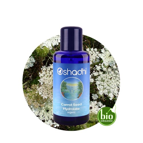 OSHADHI AROMATHERAPY Carrot Seed - Wortel zaad Hydrolaat Bio