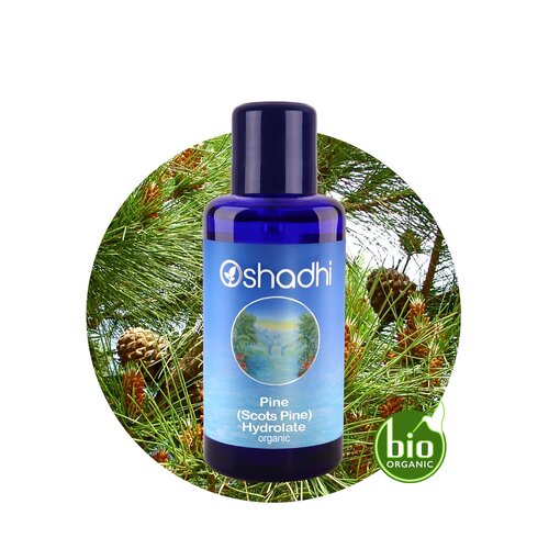 OSHADHI AROMATHERAPY Grove Den/Scotch Pine  Hydrolaat Bio