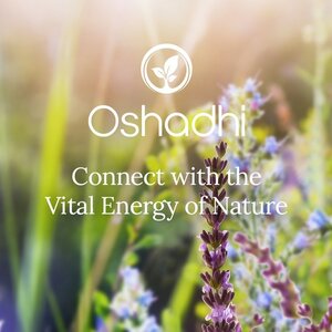 OSHADHI AROMATHERAPY OSHADHI  KENNISMAKING VOOR PROFESSIONALS OSHADHI AROMATHERAPY OSHADHI  KENNISMAKING VOOR PROFESSIONALS