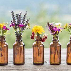 OSHADHI AROMATHERAPY WORKSHOP HYDROLATEN OSHADHI AROMATHERAPY WORKSHOP HYDROLATEN