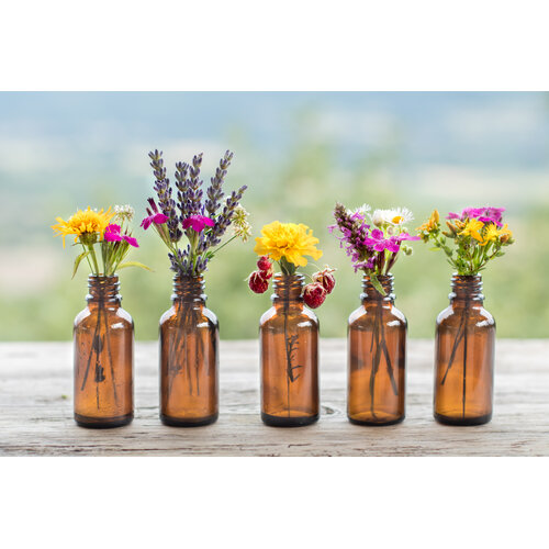 OSHADHI AROMATHERAPY WORKSHOP HYDROLATEN OSHADHI AROMATHERAPY WORKSHOP HYDROLATEN