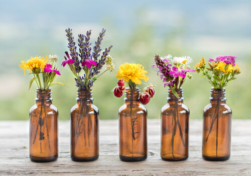 WORKSHOPS WERKEN MET ESSENTIELE OLIEN EN HYDROLATEN 