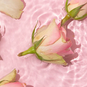 OSHADHI AROMATHERAPY WORKSHOP CREËER JE EIGEN PARFUM