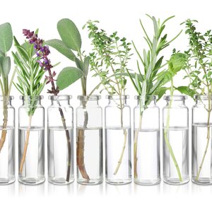 OSHADHI AROMATHERAPY INTRODUCTIE  AROMATHERAPIE  (voor starters en therapeuten)